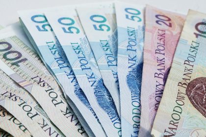 A detailed view of Polish Zloty banknotes fanned out, showcasing currency design.