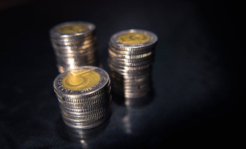 stacks, coins, money, banking, polish, zloty, cash, finances, business, economics, investment, isolated, pln, black business, black money, black finance, black bank, black company, money, zloty, zloty, zloty, zloty, zloty, black money