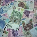 money, polish banknotes, buck, currency, savings, cash register, to save, one hundred zlotys, pln, polish, banknotes, finances, means of payment, pln, pln, pln, pln, pln