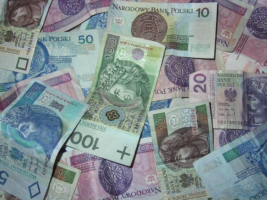 money, polish banknotes, buck, currency, savings, cash register, to save, one hundred zlotys, pln, polish, banknotes, finances, means of payment, pln, pln, pln, pln, pln
